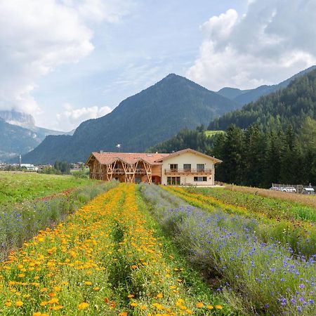 Eco-Green Fiores Agriturismo Vigo di Fassa Exterior foto